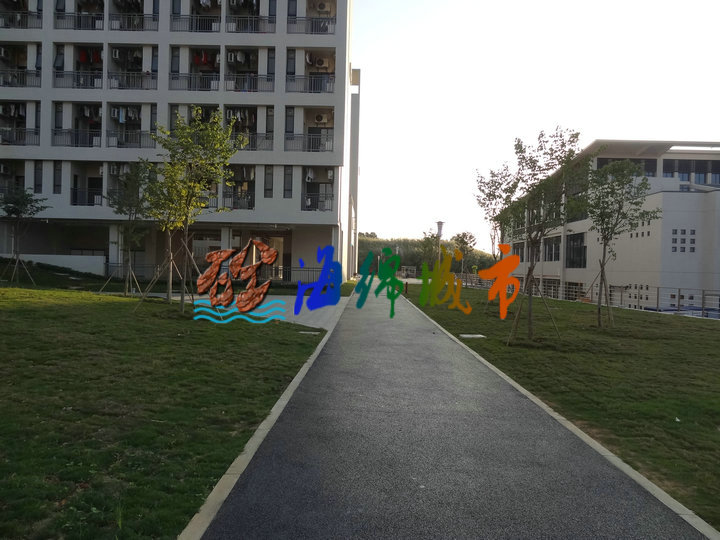 碳黑色透水地坪