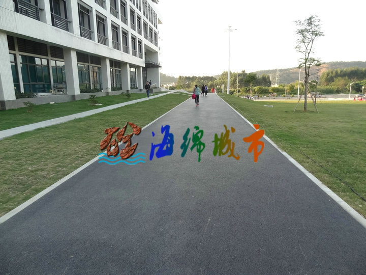 碳黑色透水地坪
