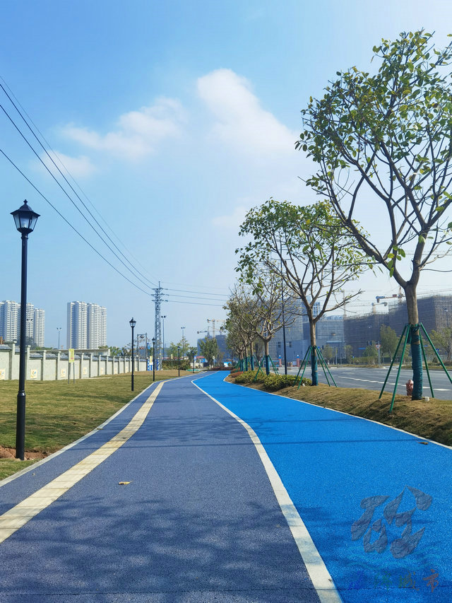 海綿城市建設